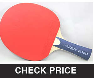 Butterfly Addoy Table Tennis Racket – Table Tennis Paddle with Smooth Rubber - Great Beginner Ping Pong Racket