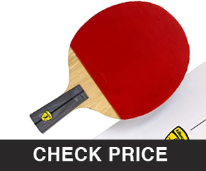 Best Ping Pong Paddle For Spin
