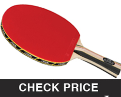 Best Ping Pong Paddle Under 50