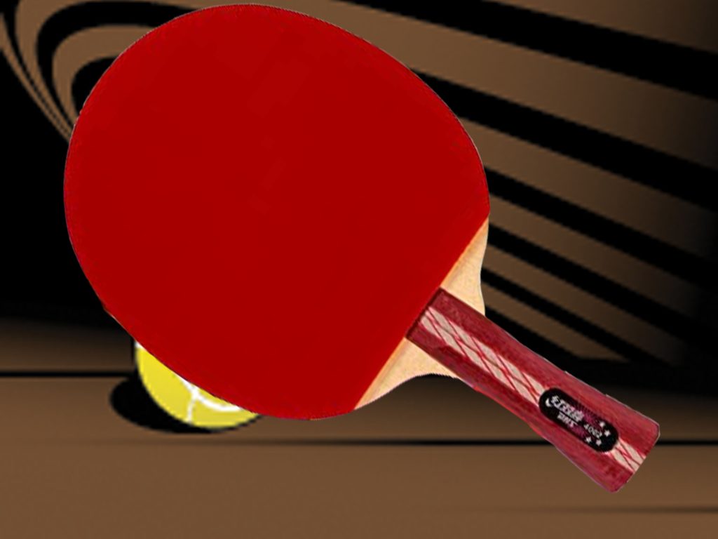 DHS A4002 Table Tennis Racquet